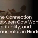 The Connection Between Cow Worship, Spirituality, and Gaushalas in Hinduism